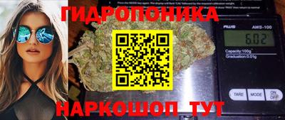 ГАЛЛЮЦИНОГЕННЫЕ ГРИБЫ Донской